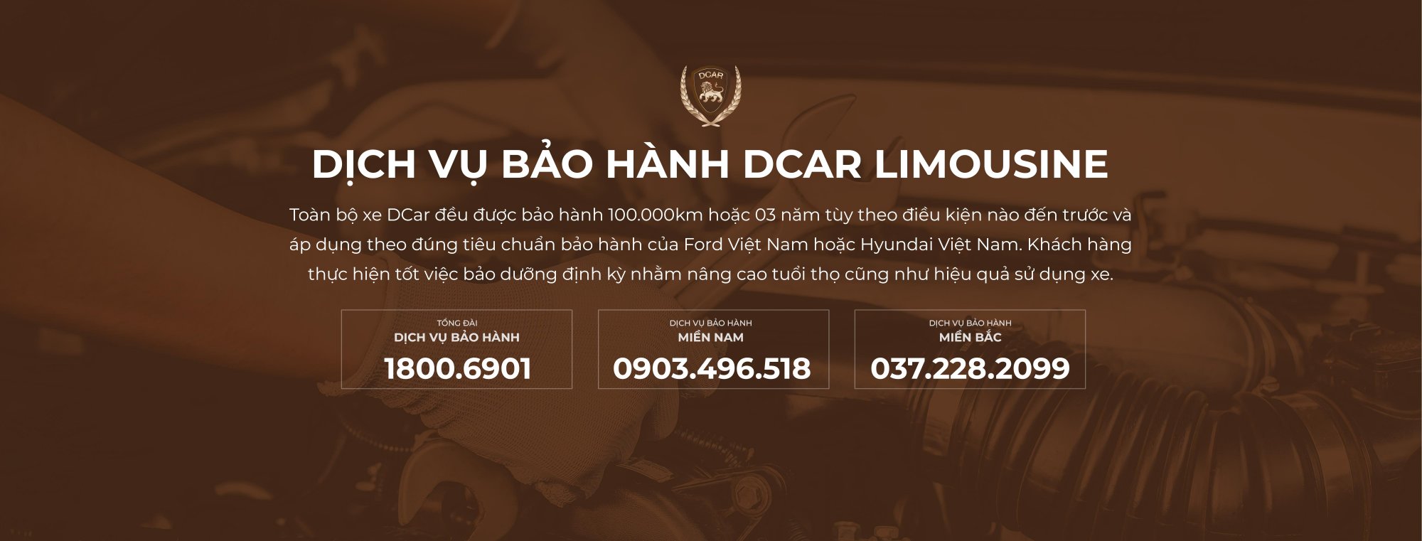 DVBH-BANNER_18042023