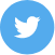 twitter-icon